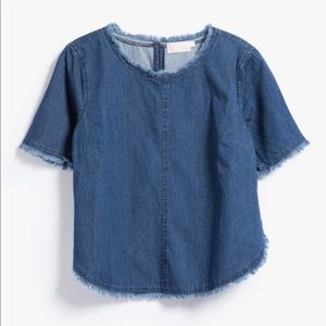 Farrow Frayed Denim Top in medium wash